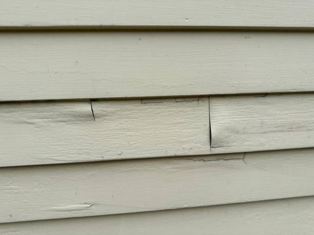 Best Fascia and Soffit Installation  in Decatur, GA